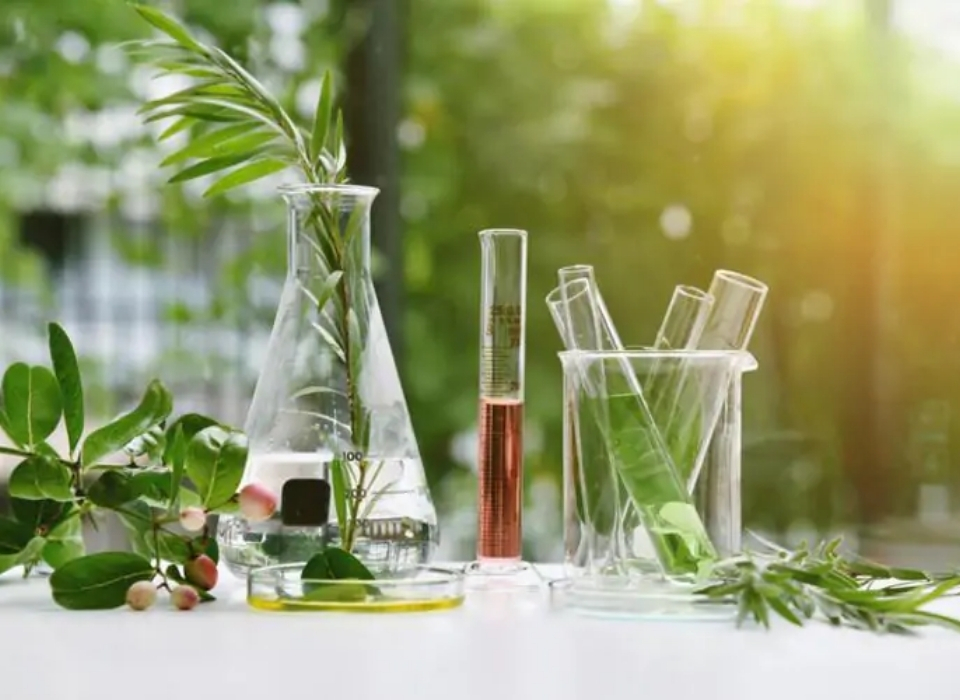 Sapro, Vegan Kozmetik Pazarında Sürdürülebilirliği İleri Taşıyor