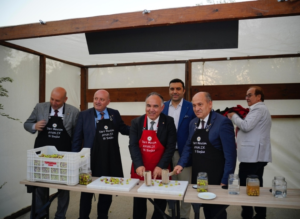 Zeytinyağının Başkenti Ayvalık'ta İlk Hasat Yapıldı