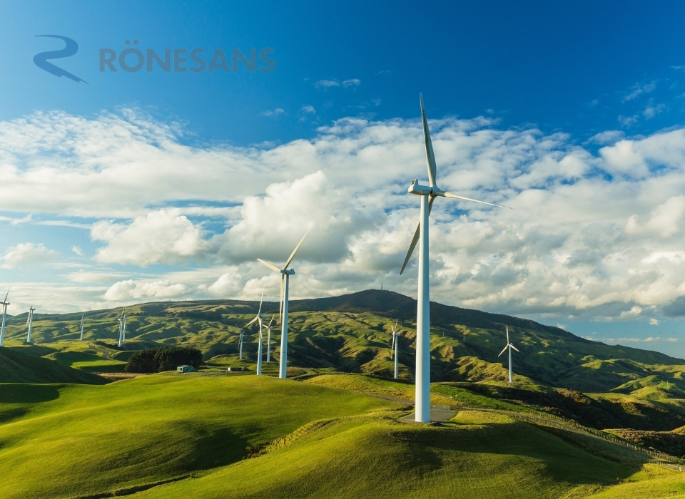 Rönesans Enerji, Rüzgar Yatırımları İçin 165 Milyon Dolar Sağladı