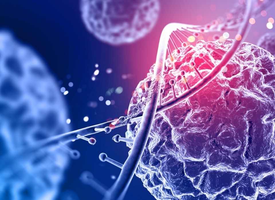 12 Important Rules That Reduce Cancer Risk