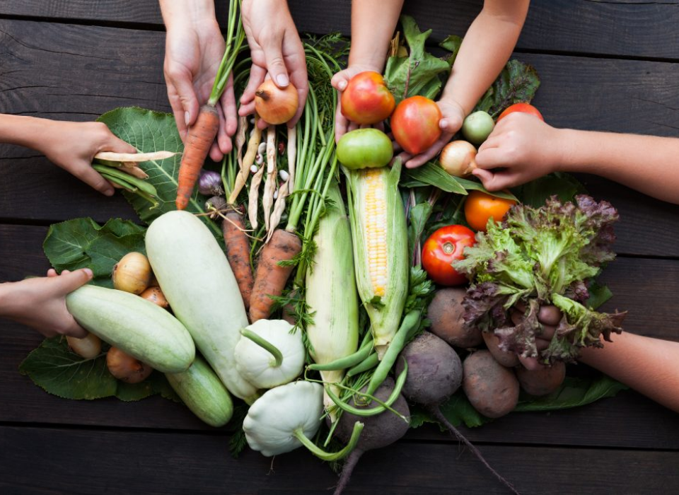 Gıda ve Beslenme Endüstrisinin Tüm Paydaşları Food & Nutritional Ingredients’te