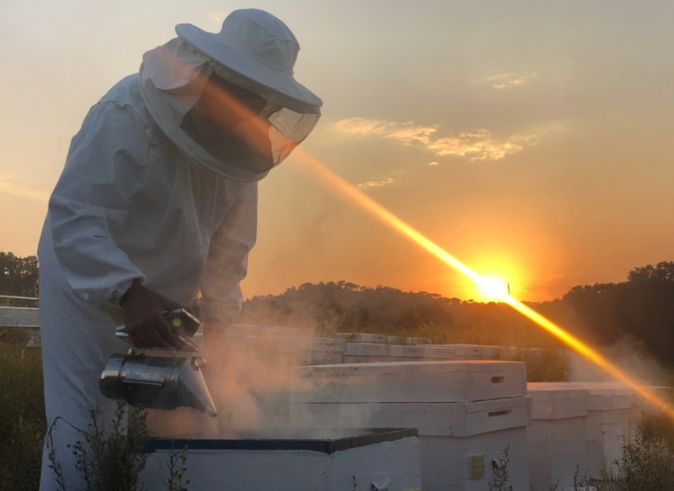 Bee Products Sector Leader Balparmak Enters "ISO Second 500" List