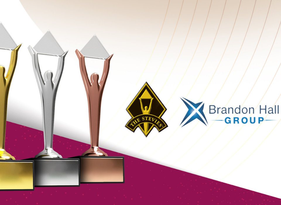 DİMES Wins 14 Awards for Human Resources at International Platforms