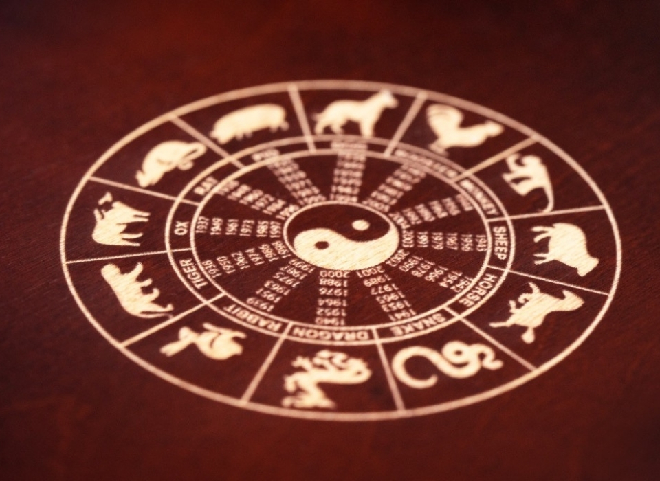 Yeni İlgi Odağı: Çin Astrolojisi Eğitimine Katılın