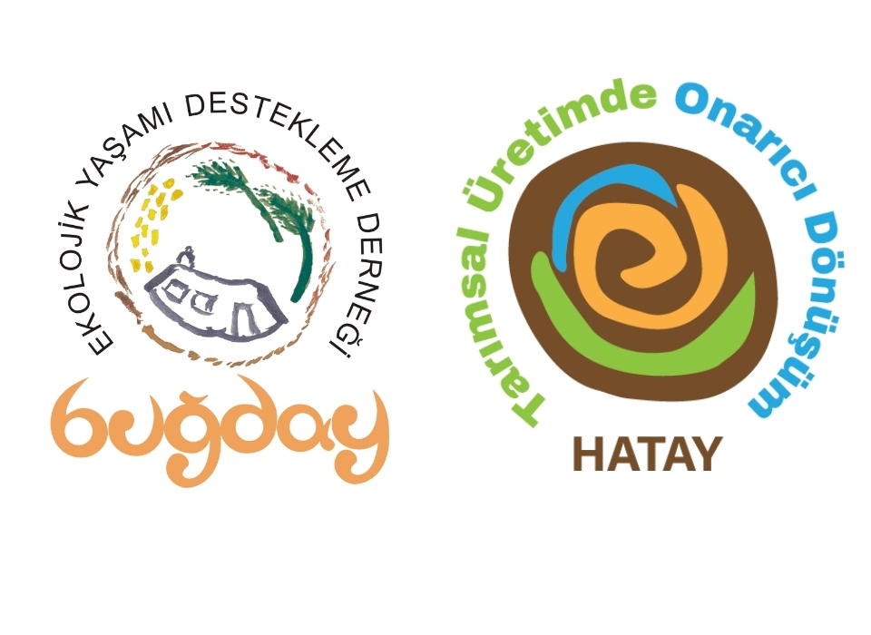 Buğday Derneği: Hatay Çiftçisi Toprağını Koruyor