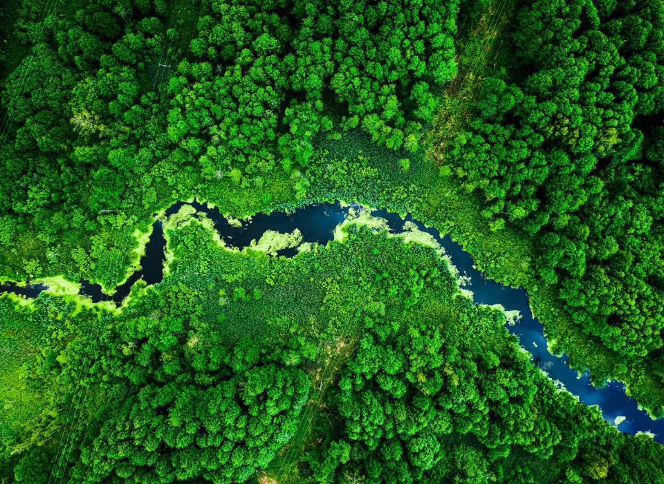 L'Oréal Allocates Additional EUR 20 Million to Climate Crisis Fund