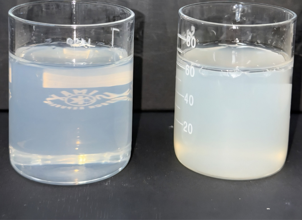 Shinsung Materials, Yüksek Performanslı Kişisel Bakım İçerikleriyle Küresel Varlığını Güçlendiriyor