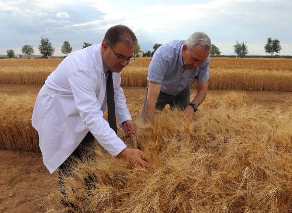 Innovative Contribution from Duru Gıda to Sustainable Agriculture and Food Safety