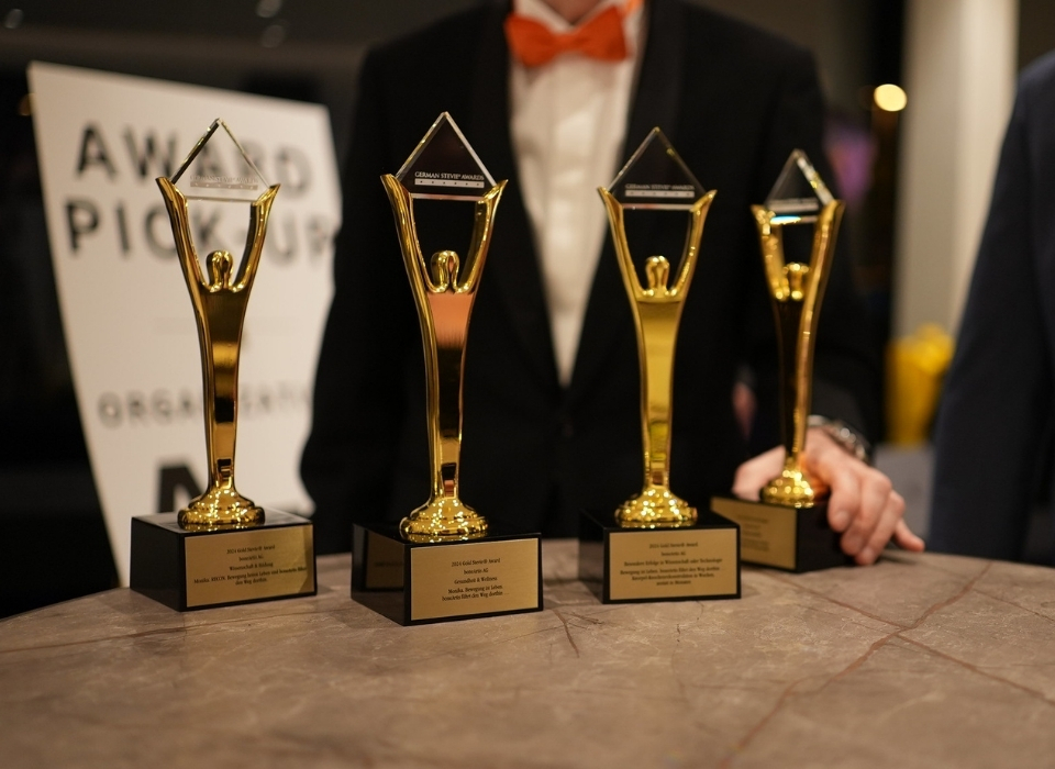 Turkish Companies Dominate Stevie International Business Awards