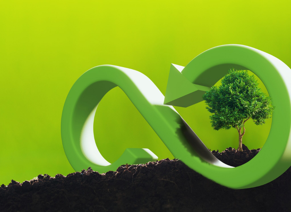 Steps Toward a Sustainable Future: Green Transformation Moves from Kraton and Covestro