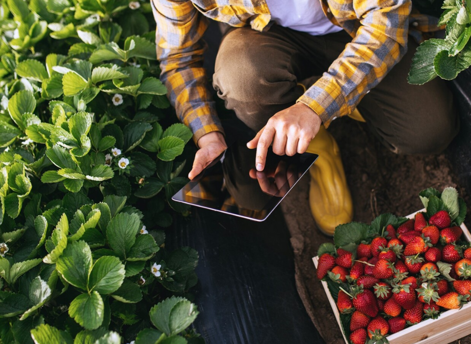 Bayer Supports Reliable Production in Türkiye with ResiYou