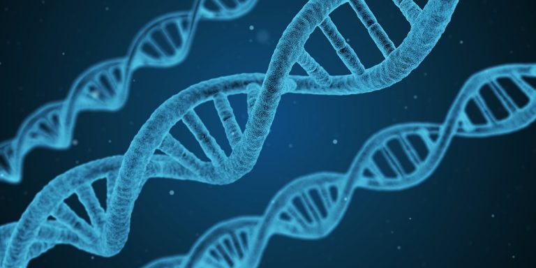 DNA Zinciri