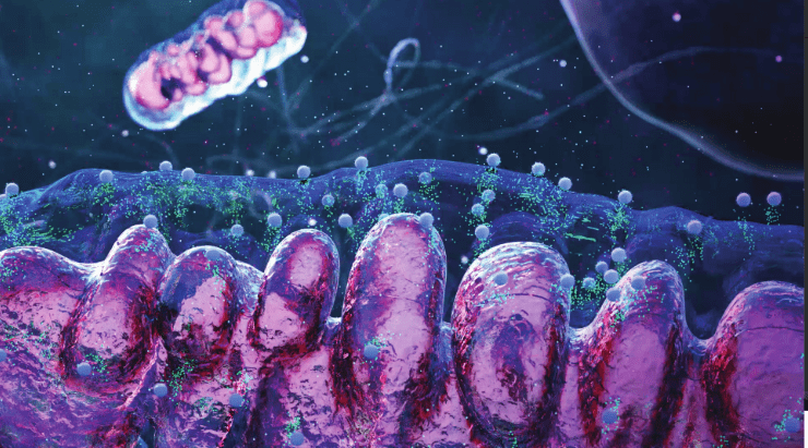 Deri Mitokondri Terapisinde Çığır Açan Ürün ile Tanışın