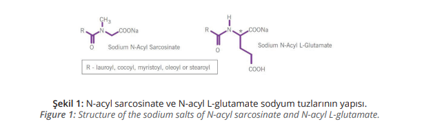 Structure of the sodium salts of N-acyl sarcosinate and N-acyl L-glutamate