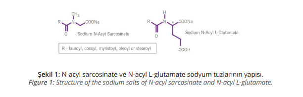 N-acyl sarcosinate ve N-acyl L-glutamate 