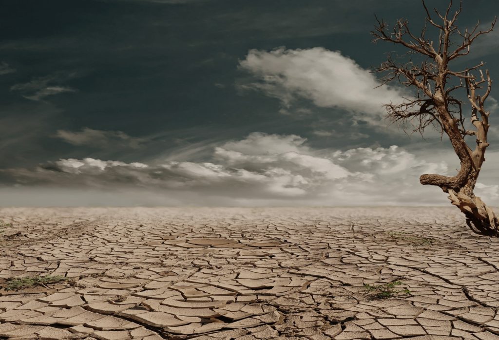 İklim krizi ile mücadele