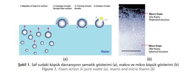  Foam action in pure water (a), macro and micro foams (b)