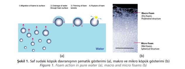 Foam action in pure water (a), macro and micro foams (b)