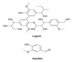  Chemical structure of lignin and  vanillin