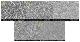 Cilt maskesi kompozit nanofiber membranların SEM görüntüleri 