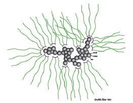 The effect of the length of polymer’s tail group to the dispersion