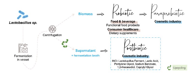  Postbiyotik bileşen, ileri dönüşüm üretim prosesi