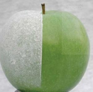tarım ilaçlı elma