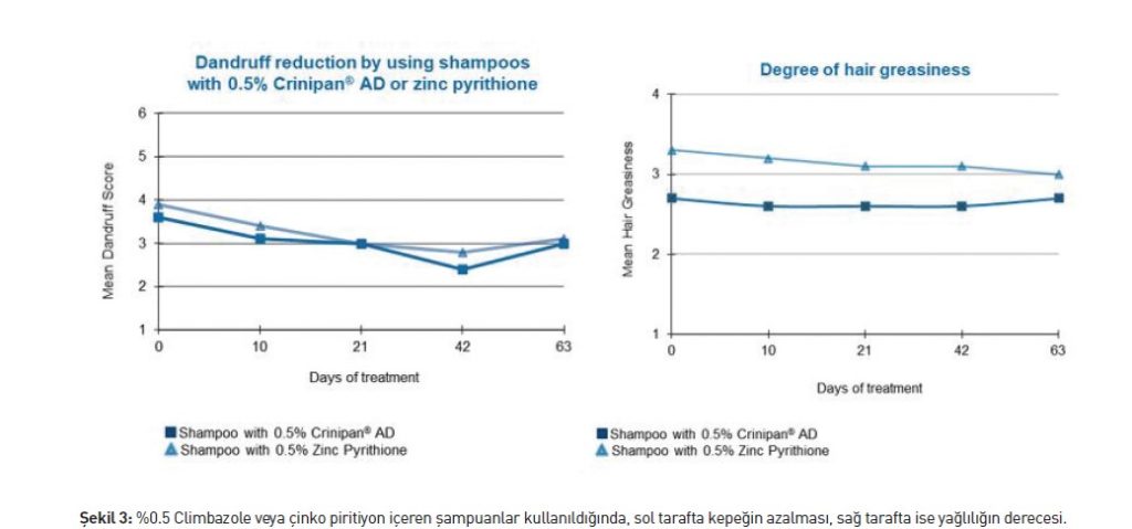 %0.5 Climbazole veya çinko piritiyon içeren şampuanlar kullanıldığında, sol tarafta kepeğin azalması, sağ tarafta ise yağlılığın derecesi.