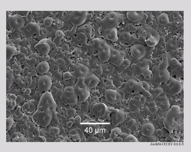 PEO Kaplamalar Turkchem