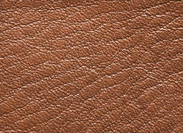A Sustainable Leather Industry