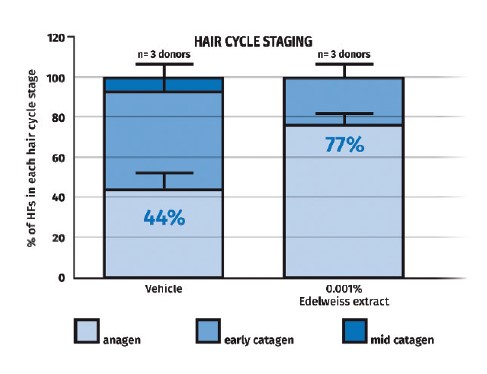 Grafik 1. Her birsaç döngüsündeki
saç folikülü yüzdesi
karşılaştırılması.
Edelweiss, plaseboya
kıyasla anajen fazda
saç folikülünü 1,8 kat
daha fazla arttırır.