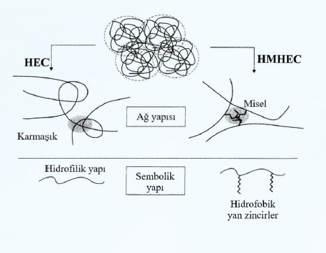 Figure 4: Molecular structure of HEC and HMHECtype thickener in aqueous solutions[6]